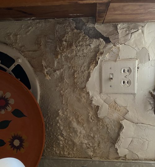 Water damage from Leaking roof